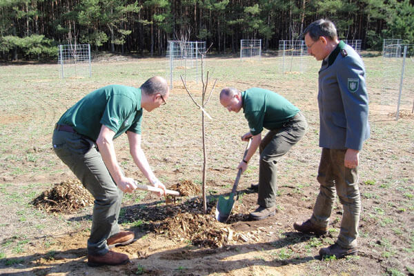 Seit 2010 pflanzt Piepenbrock gemeinsam mit seinen Kunden Bäume im unternehmenseigenen Forst.
