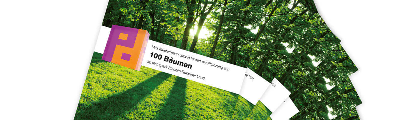 Baumurkunden der Aktion „Wachstum“ Für im Rahmen der Aktion „Wachstum“ gemeinsam gepflanzte Bäume im Unternehmensforst erhalten Kunden von Piepenbrock eine Urkunde.
