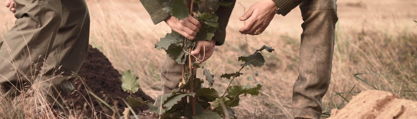 Baumpflanzungen Um alte Obstsorten zu erhalten, pflanzt Piepenbrock jedes Jahr seltene Obstbaumsorten im Unternehmensforst.