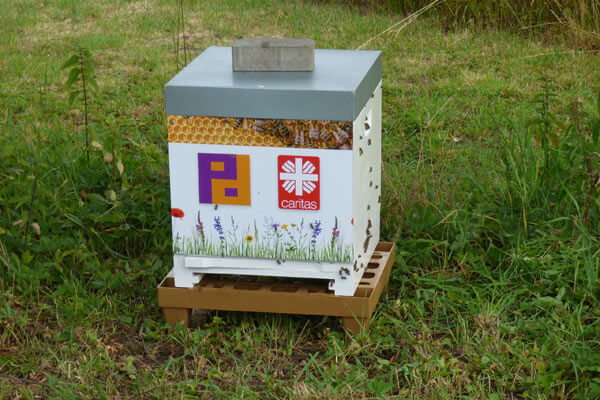 Gemeinsam mit der Caritas errichtet Piepenbrock bundesweit Bienenstöcke.